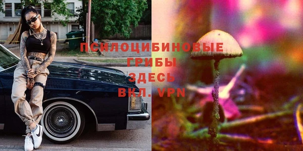 apvp Абаза