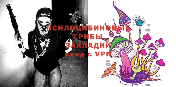 apvp Абаза