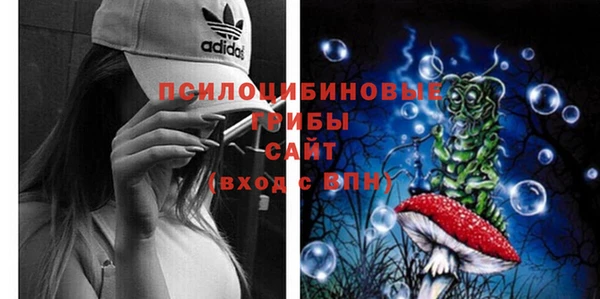 крисы Алзамай