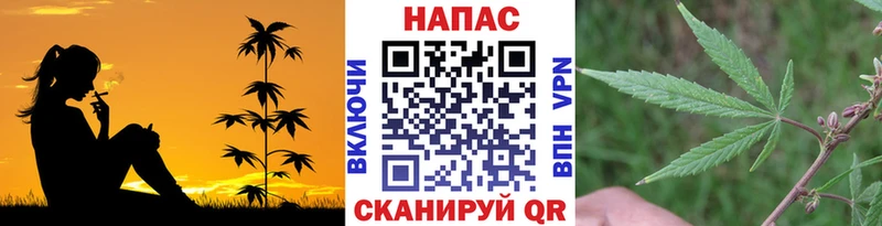 Конопля Ganja  Хадыженск 